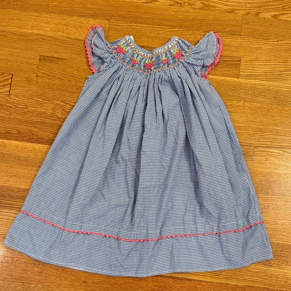 Blue Gingham Smocked Flutter-Sleeve Strawberry Kids Dress with Pink Trim 4T